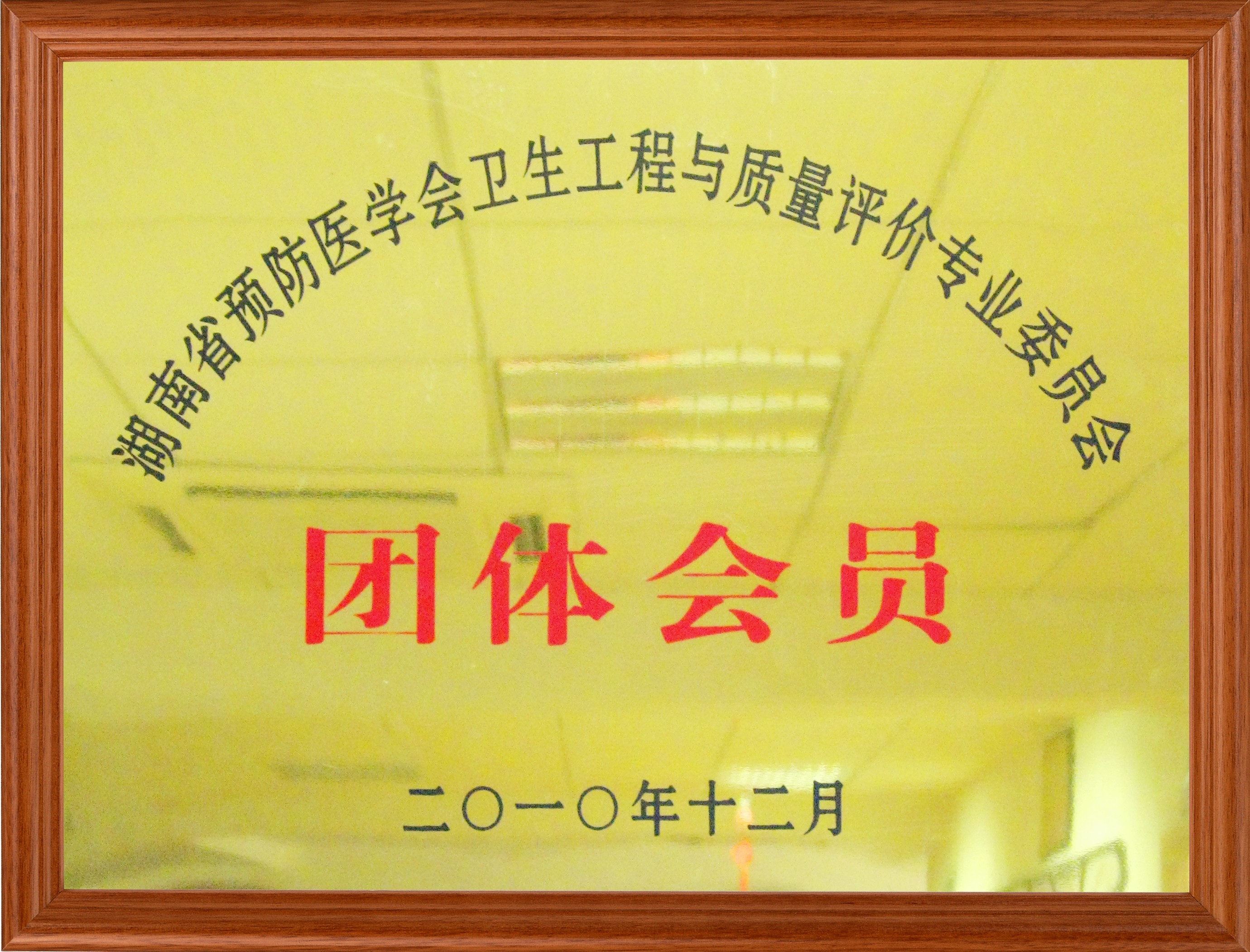 �F(tu��n)�w���T